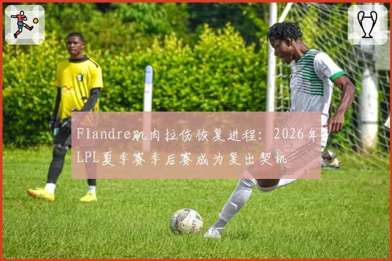 Flandre肌肉拉伤恢复进程:2026年LPL夏季赛季后赛成为复出契机