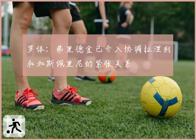 罗体：弗里德金已介入协调拉涅利和加斯佩里尼的紧张关系