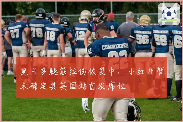 里卡多腿筋拉伤恢复中,小红牛暂未确定其英国站首发席位
